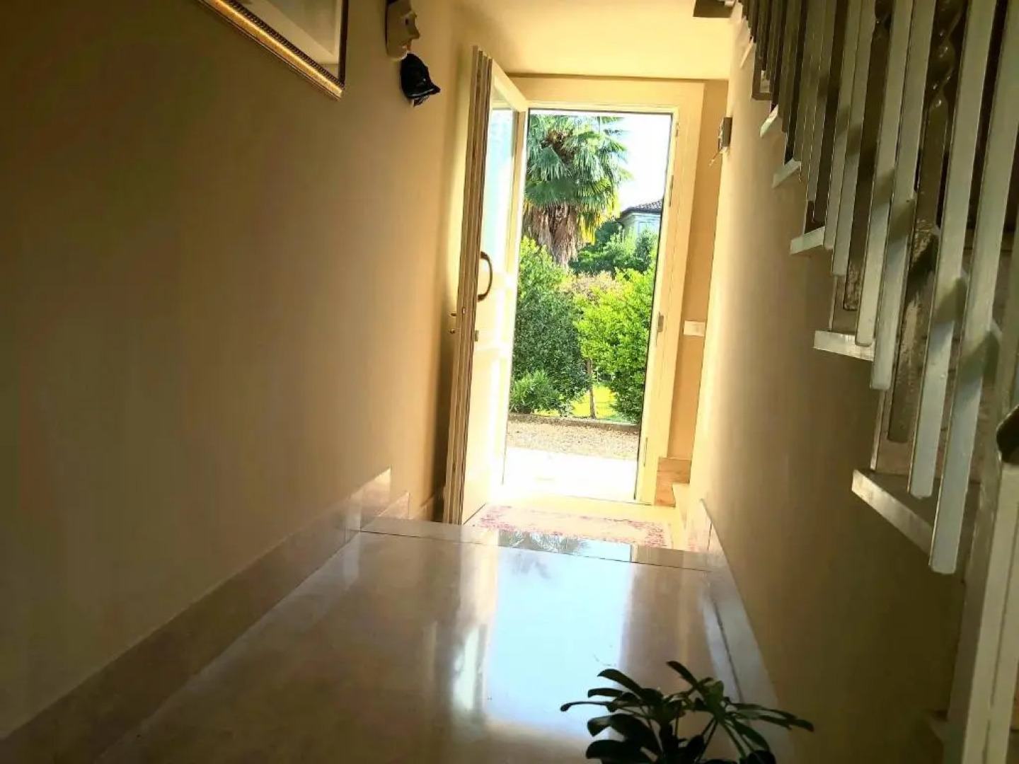 La Celeste a Montegaldella -Vi - Italia