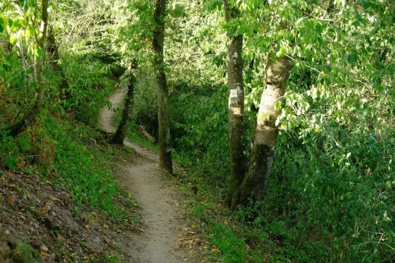 Ferienwohnung zum Küppchen