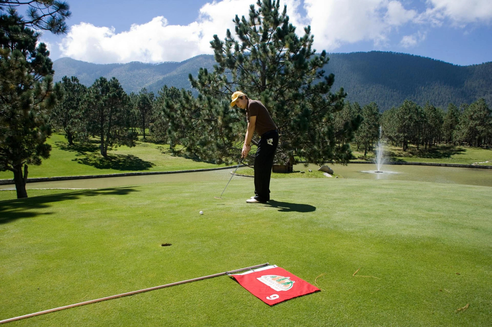 Bosques De Monterreal