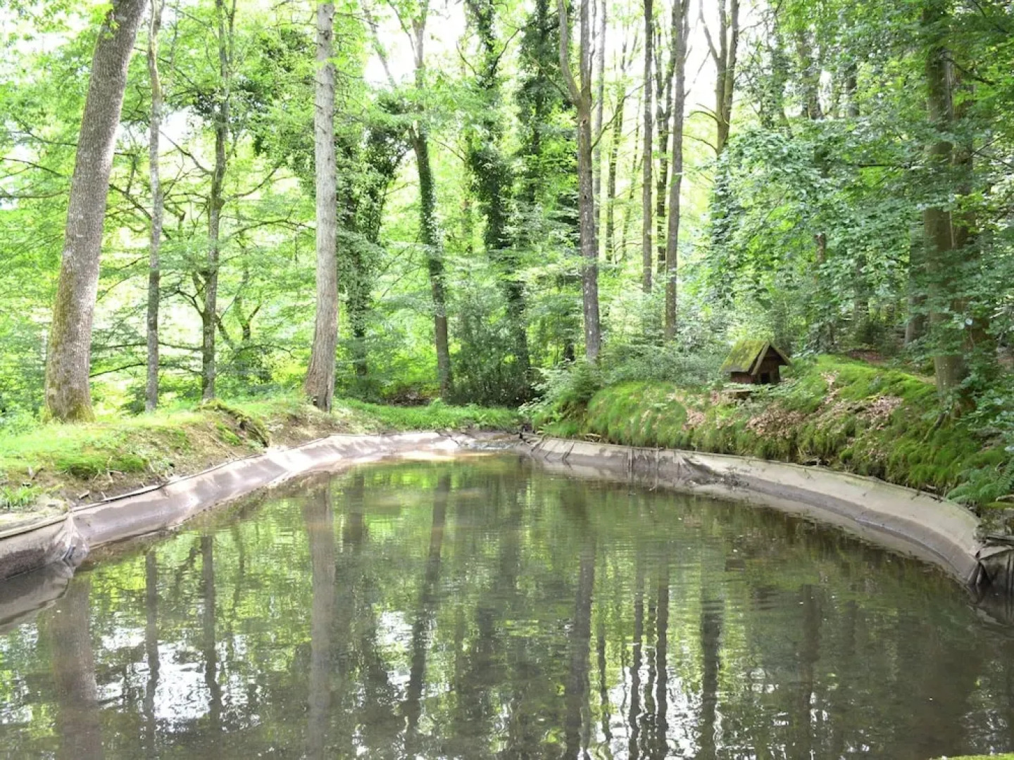 Cottage in the Heart of the Ardennes Woods