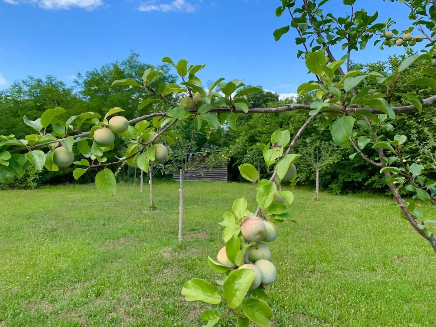 Moulin Bleu de Vézère