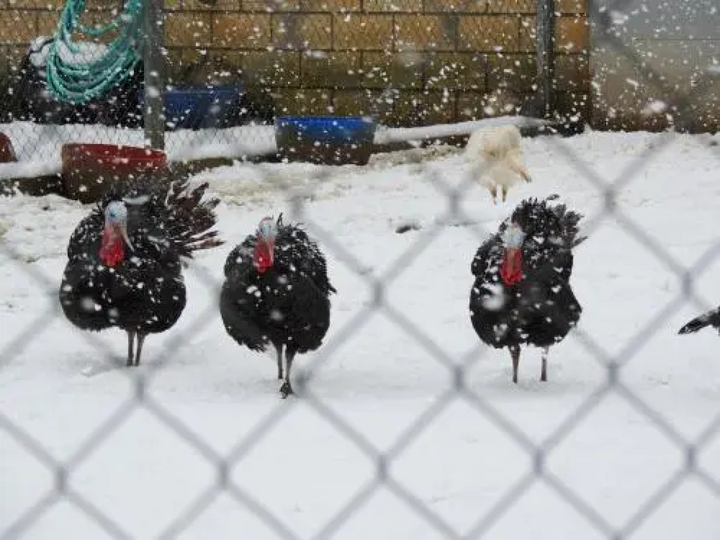 Hotel Restaurante La Alhama