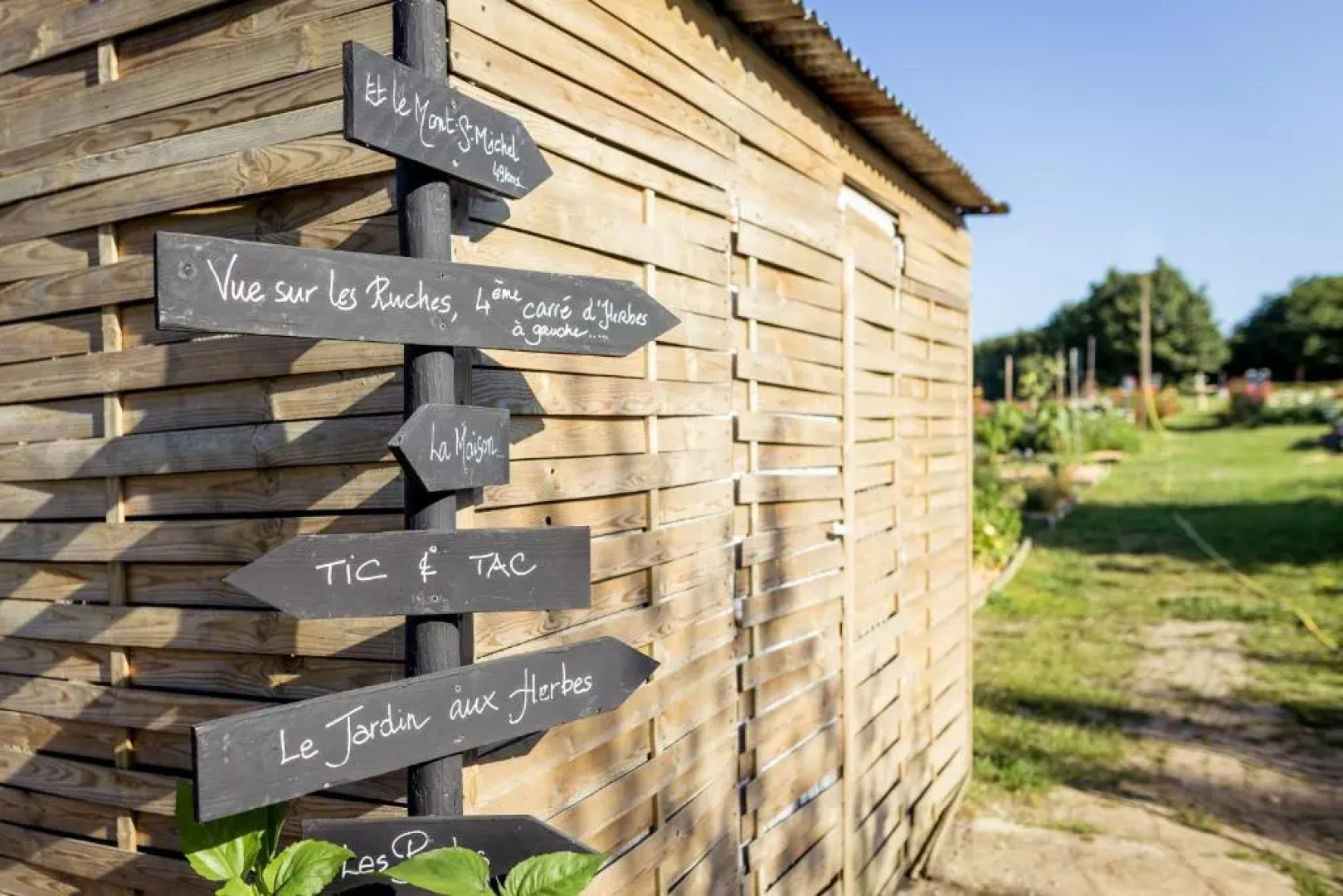 Domaine du Limonay, The Originals Collection