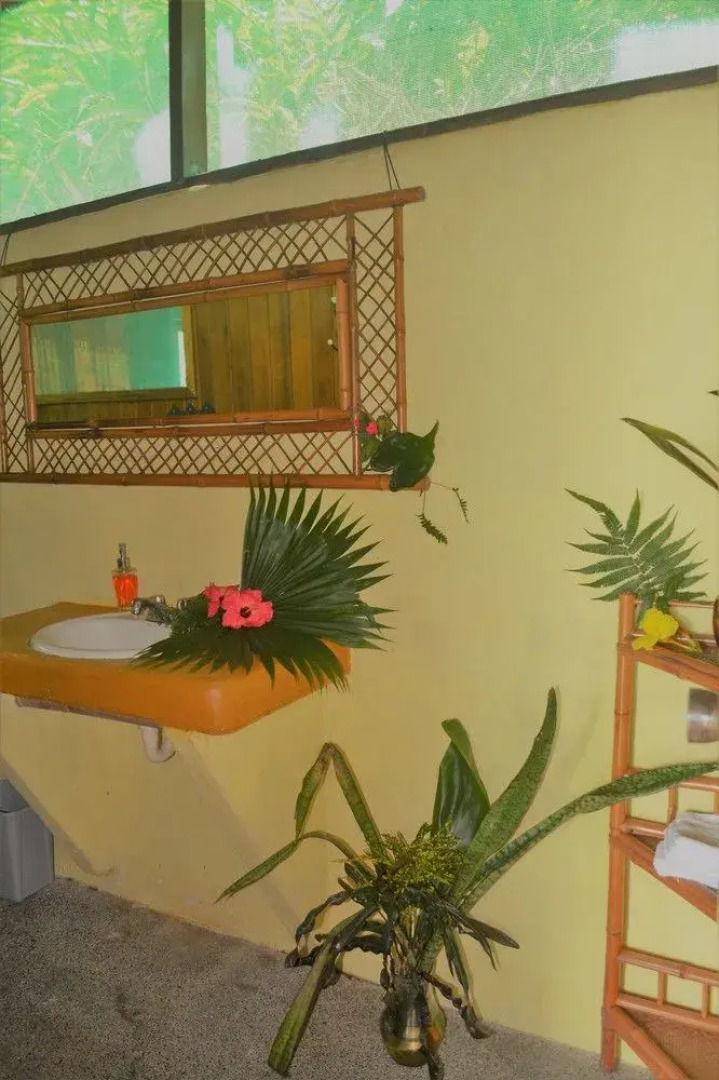 Lookout Inn Beach Rain forest Eco Lodge