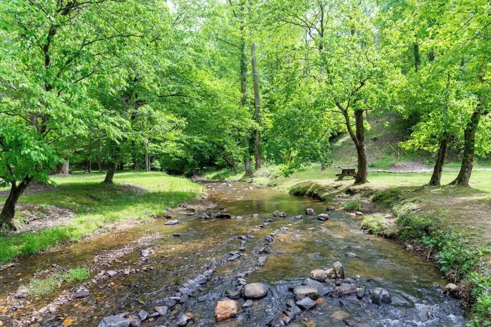 Buck Valley Lodge Mountain Getaway!