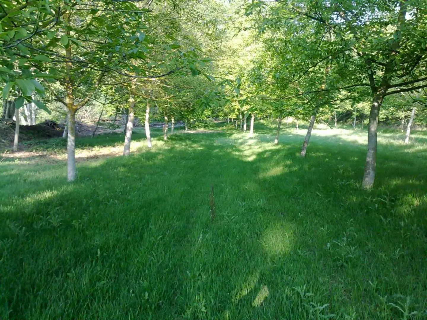 Mas Trucafort - Adults only