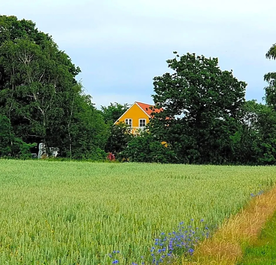 The FIG Studio - "Den Gule Svane" Guest House - near Rønne & Beach
