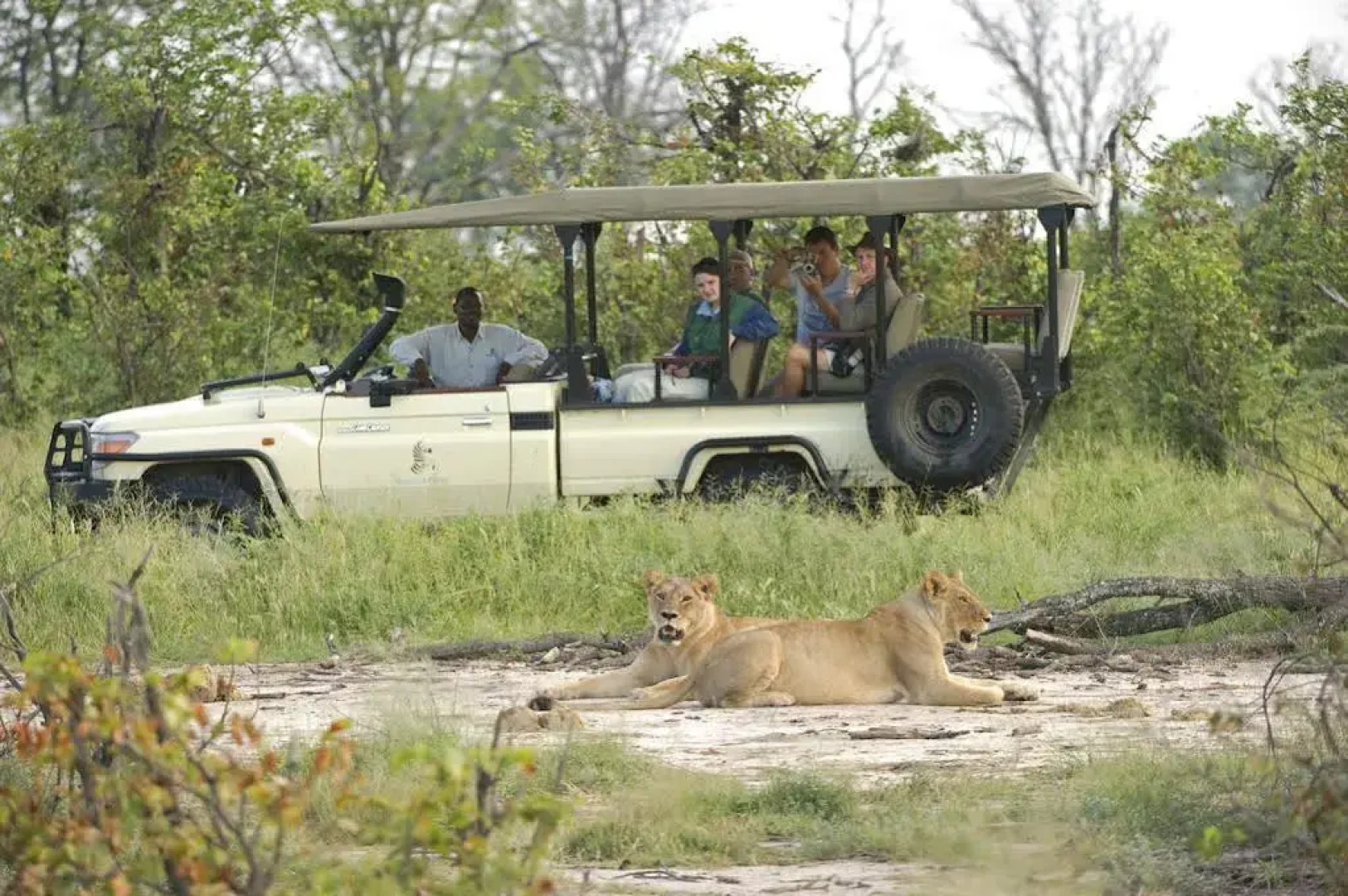 Sanctuary Stanley's Camp
