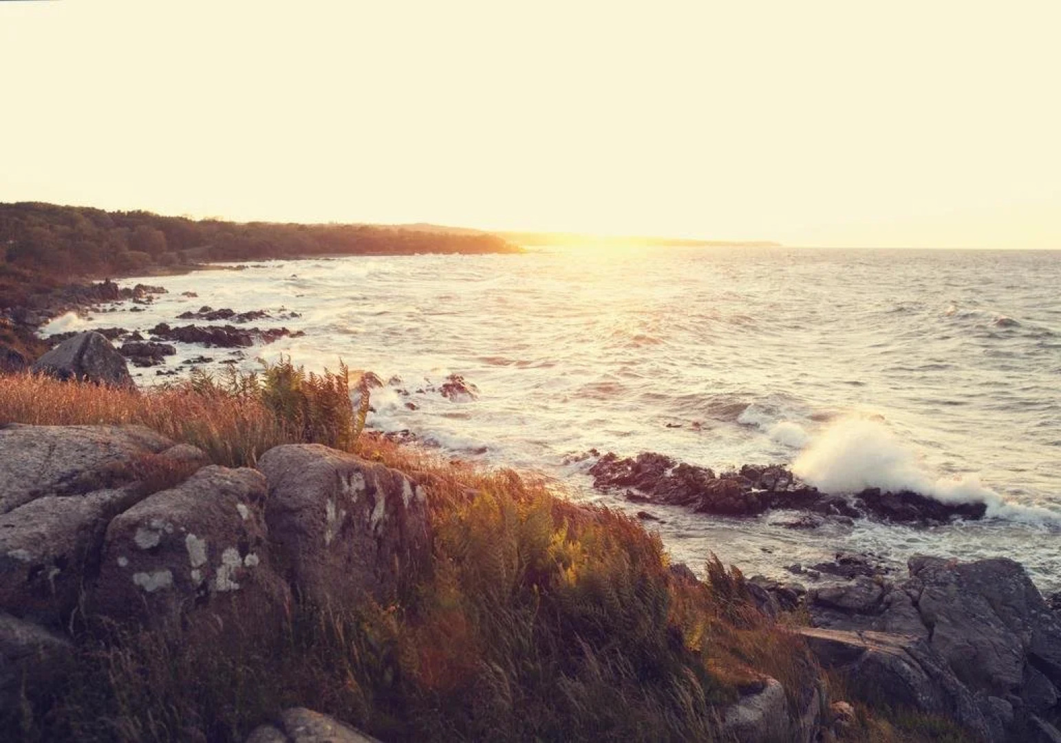 Stammershalle Badehotel