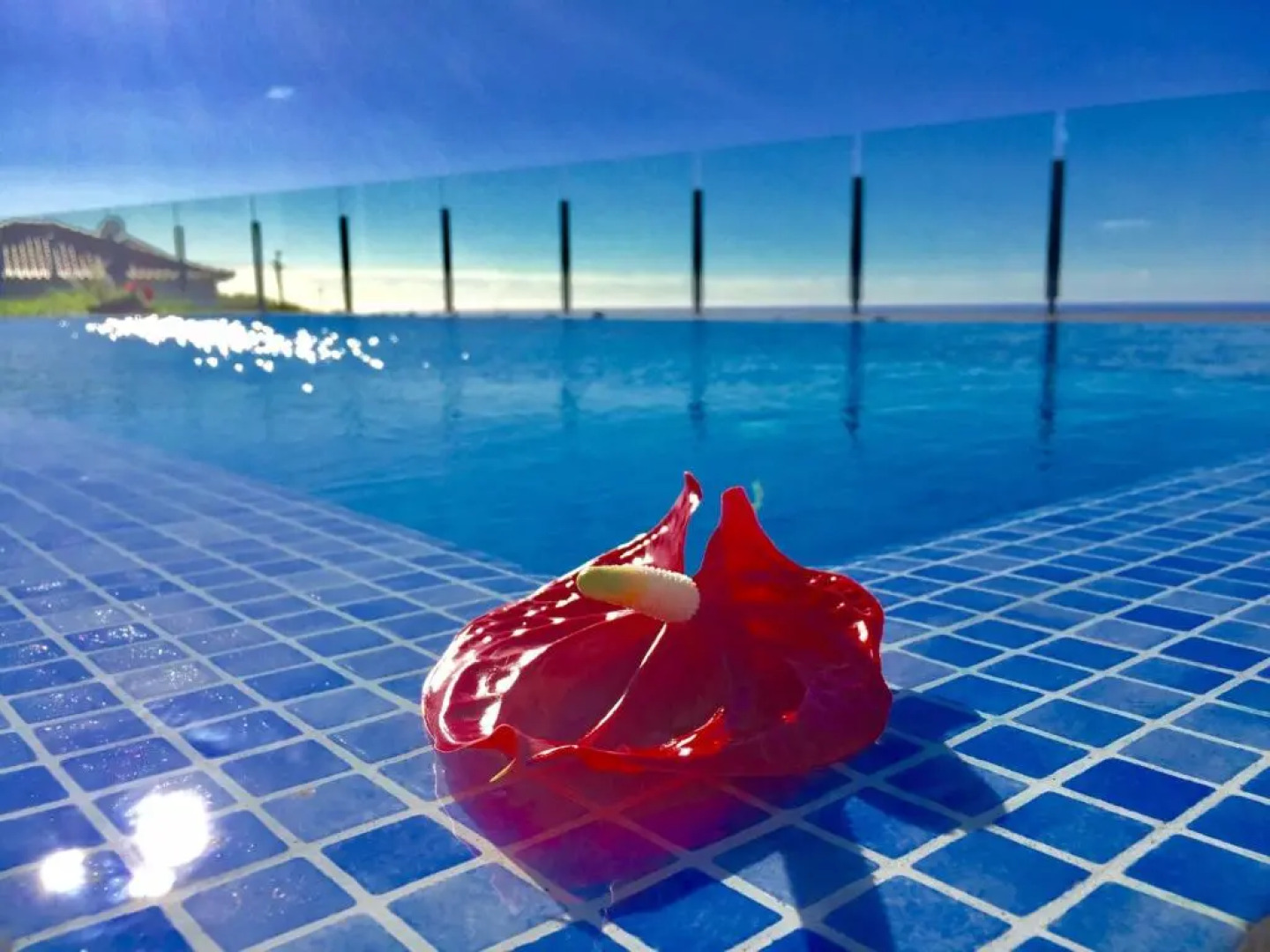 Villa Pinheira III heated pool