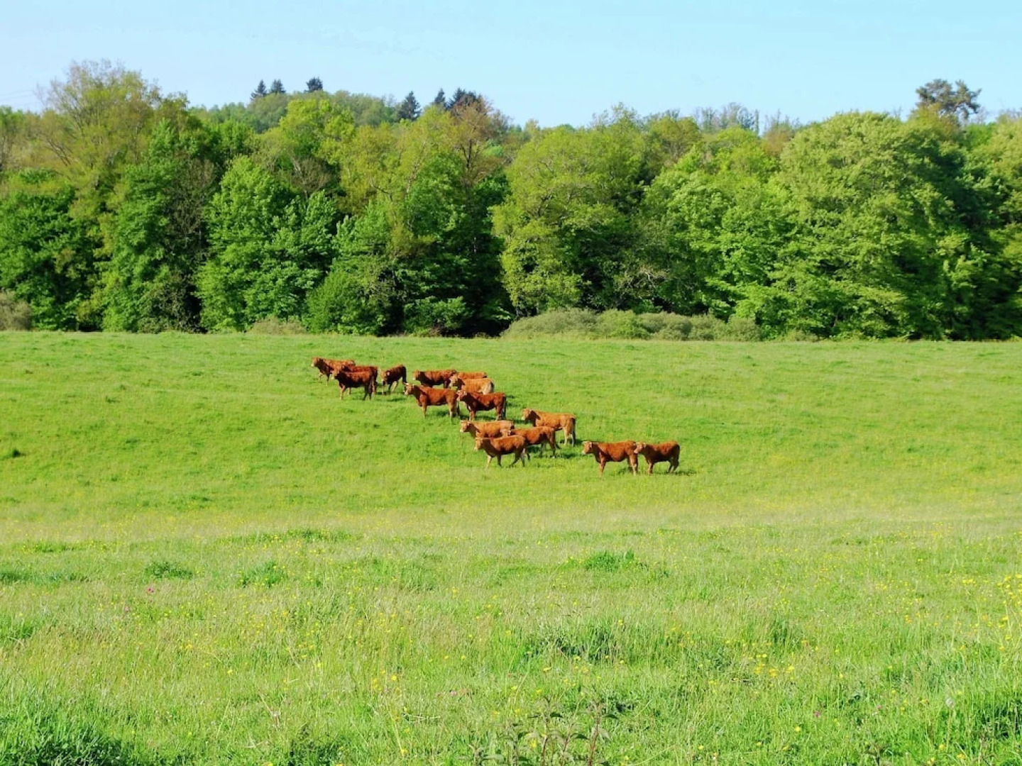 Romantic Tower With Roof Terrace and Plenty of Privacy and use Heated Pool