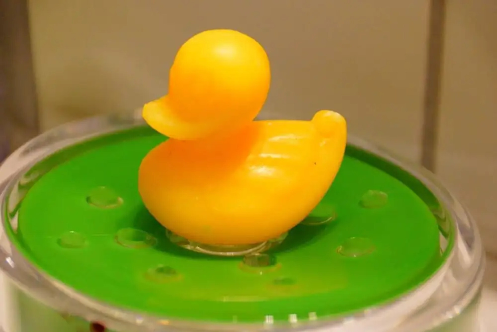 Boardinghouse Nordpark