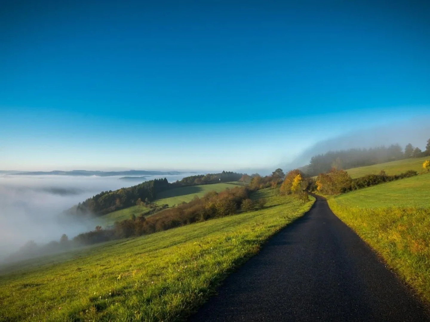 Apartment in Leudersdorf, Eifel With Terrace
