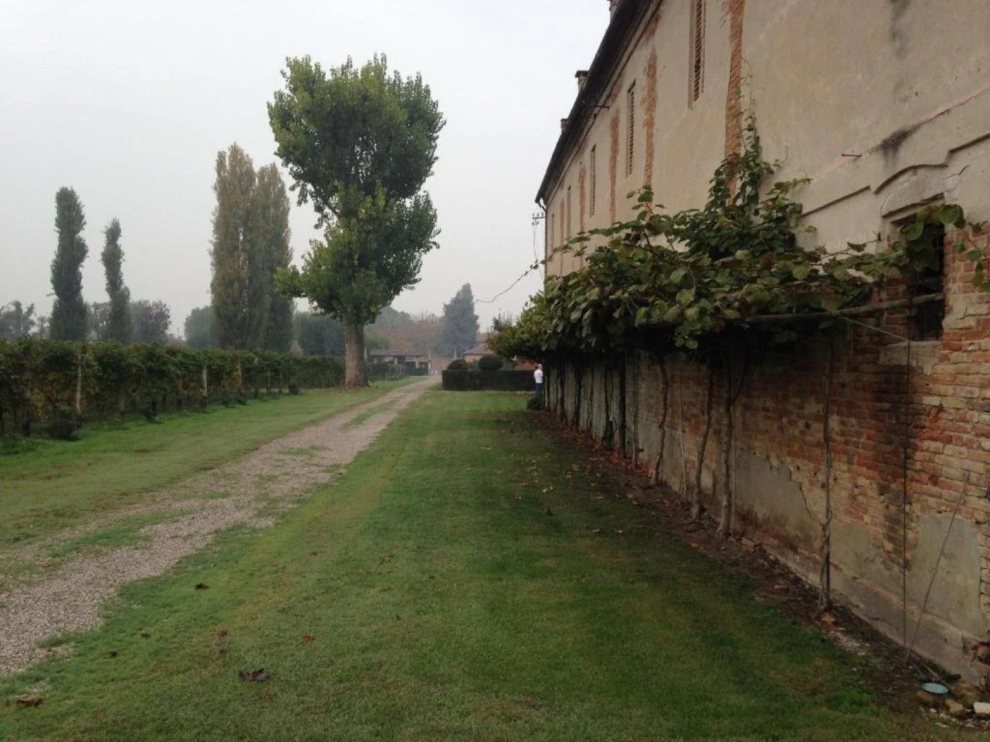 Agriturismo Dominio di Bagnoli