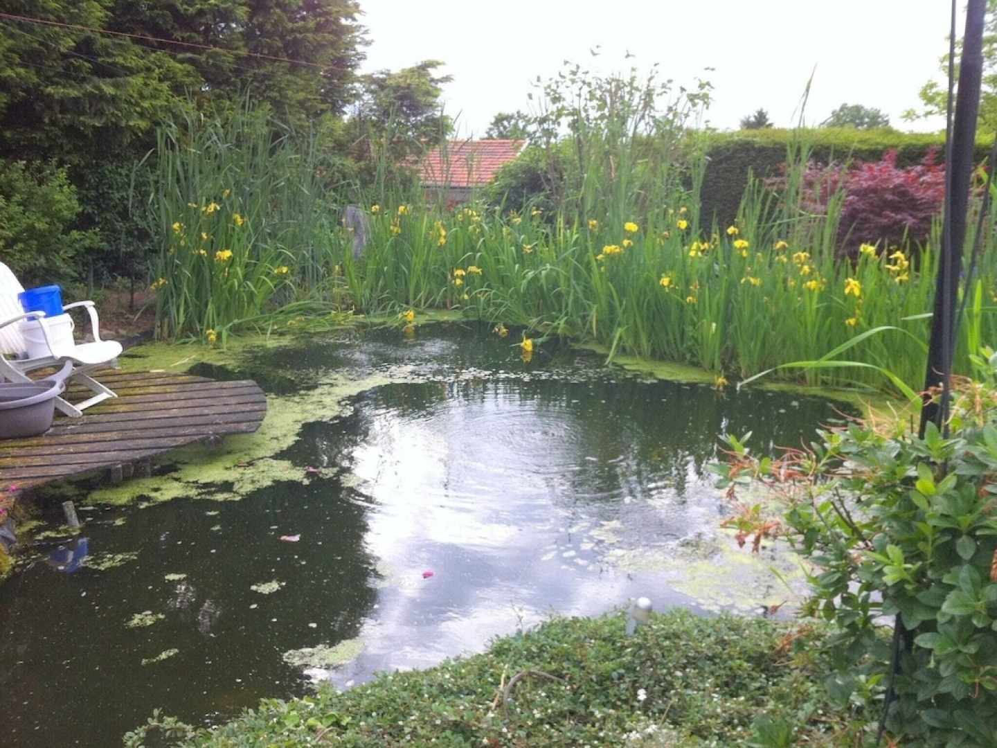 Dreamy Holiday Home in Sweikhuizen with Swimming Pool, Garden