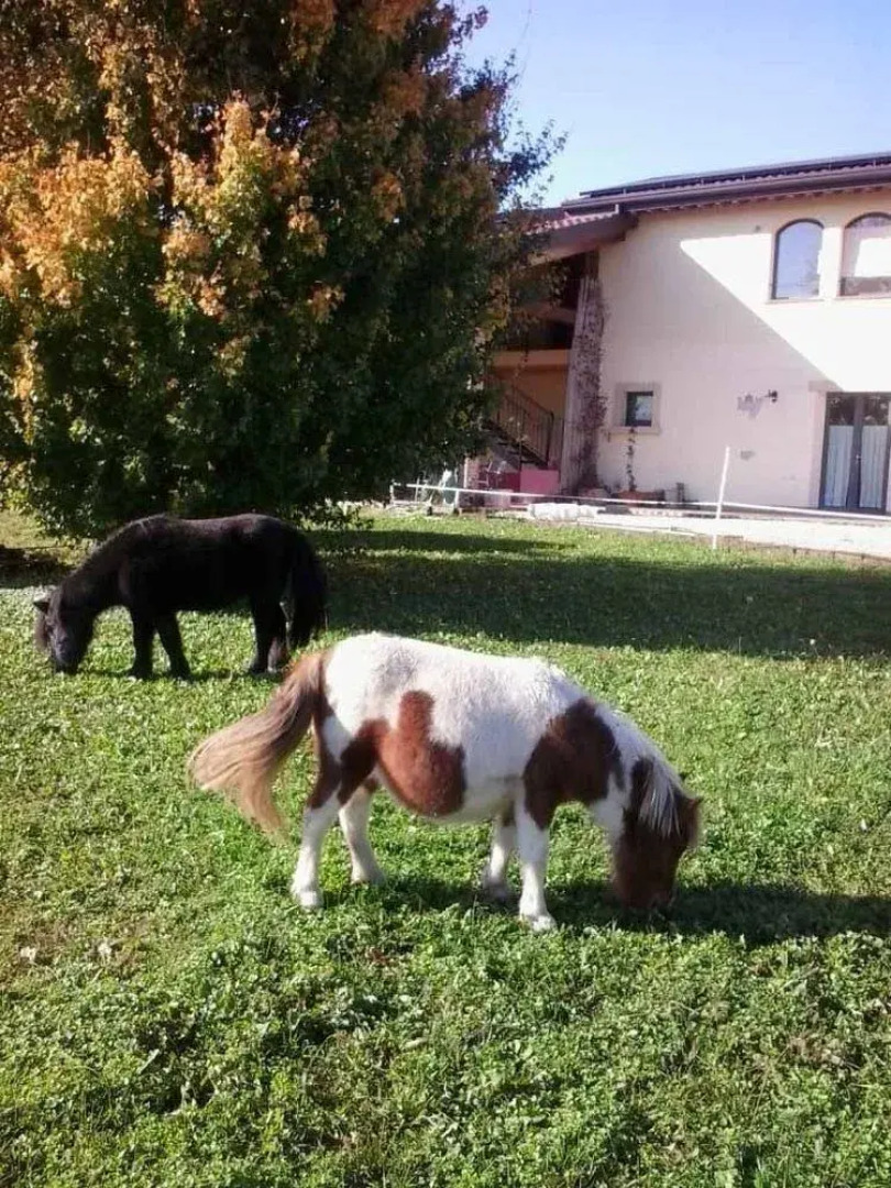 Agriturismo Ca Del Ferro