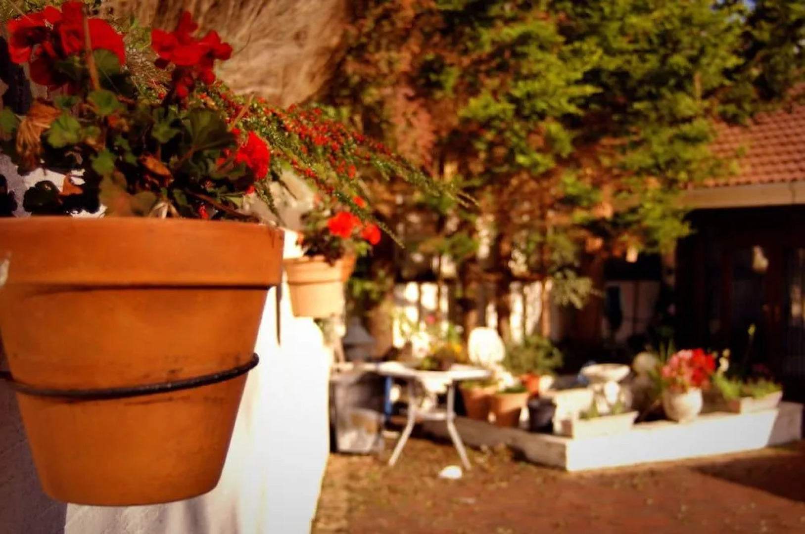 Cedar Grove: Luxury B&B