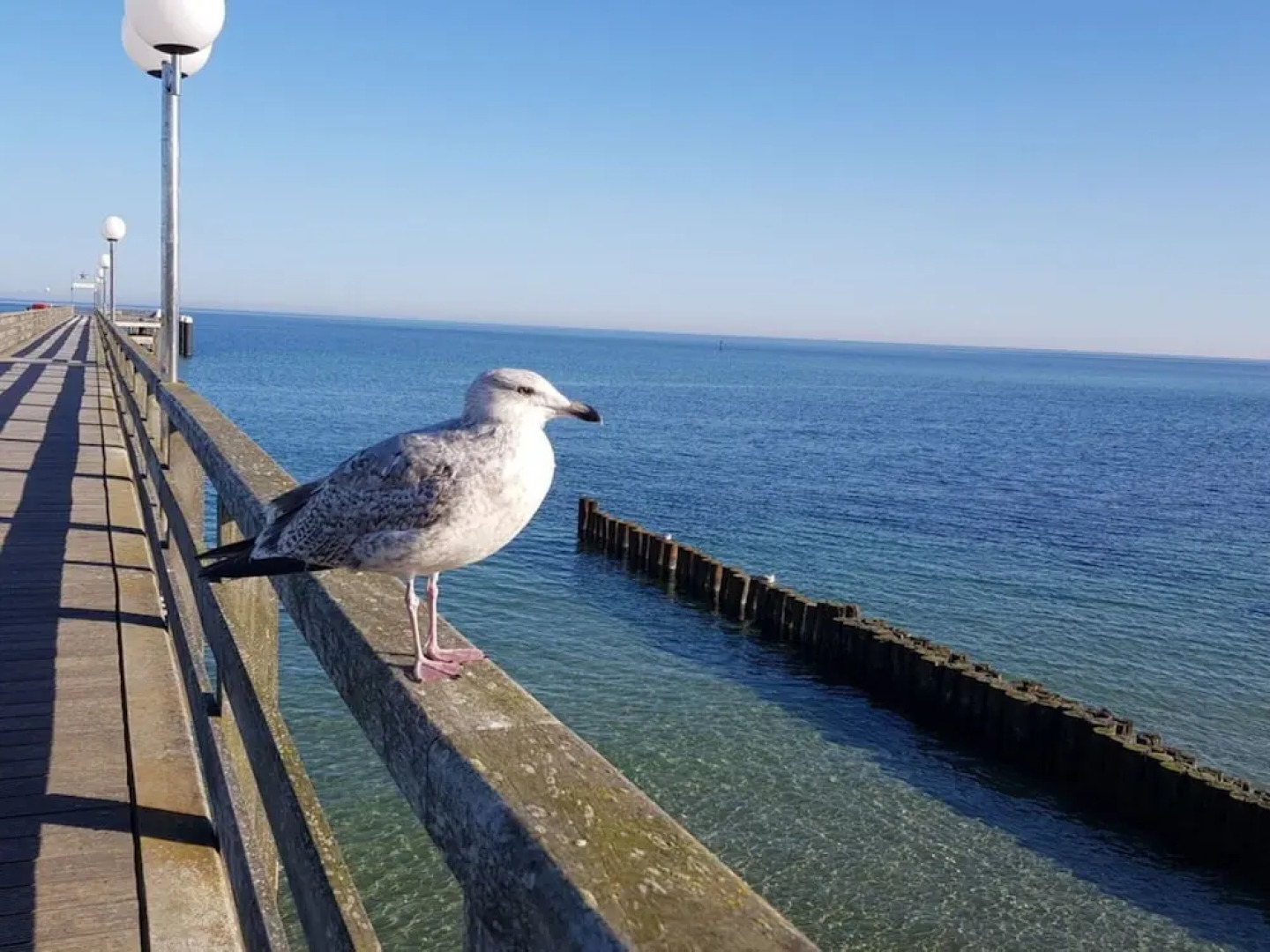 Lighthouse View Modern Retreat