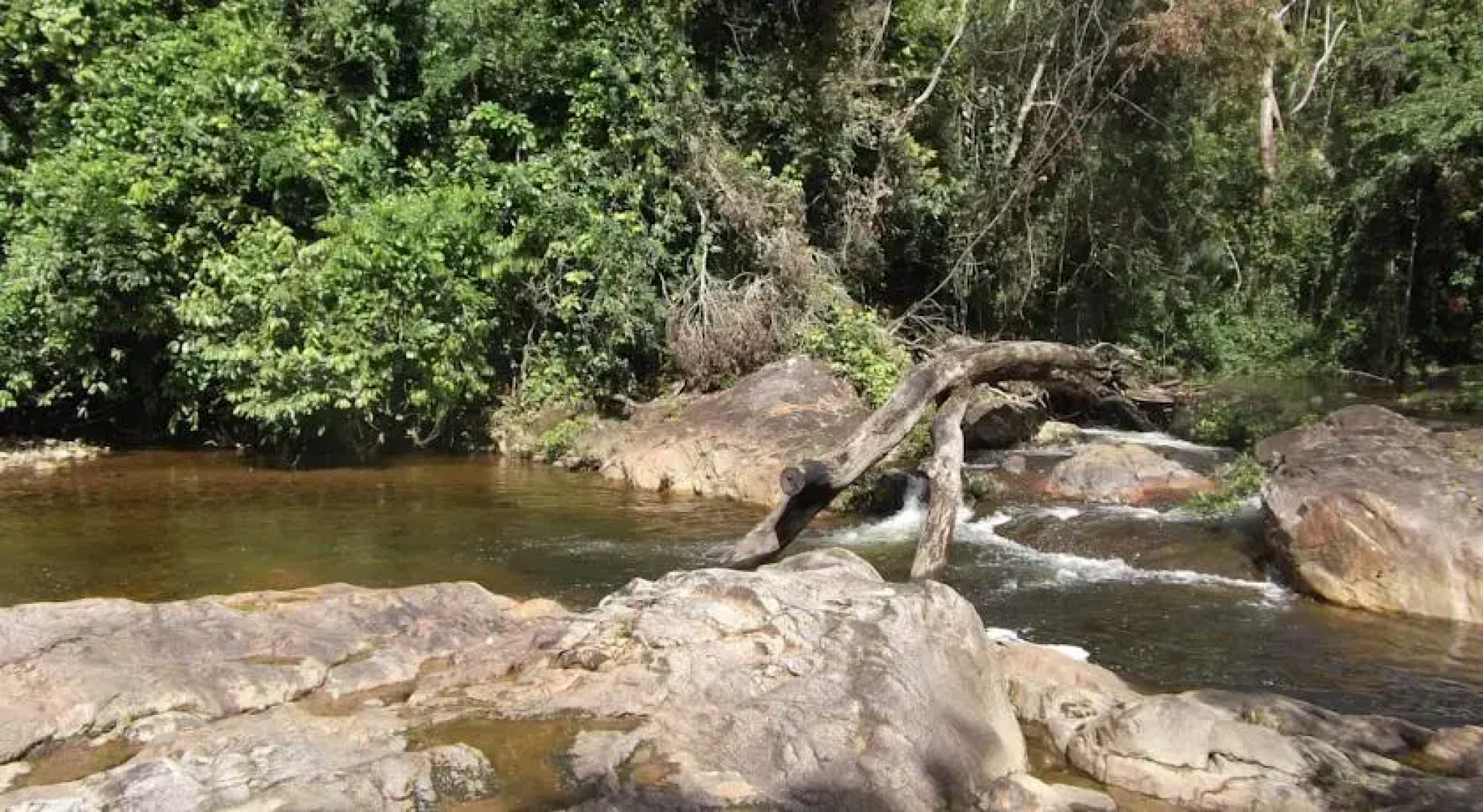 Hummingbird Guest Lodge & Hostel