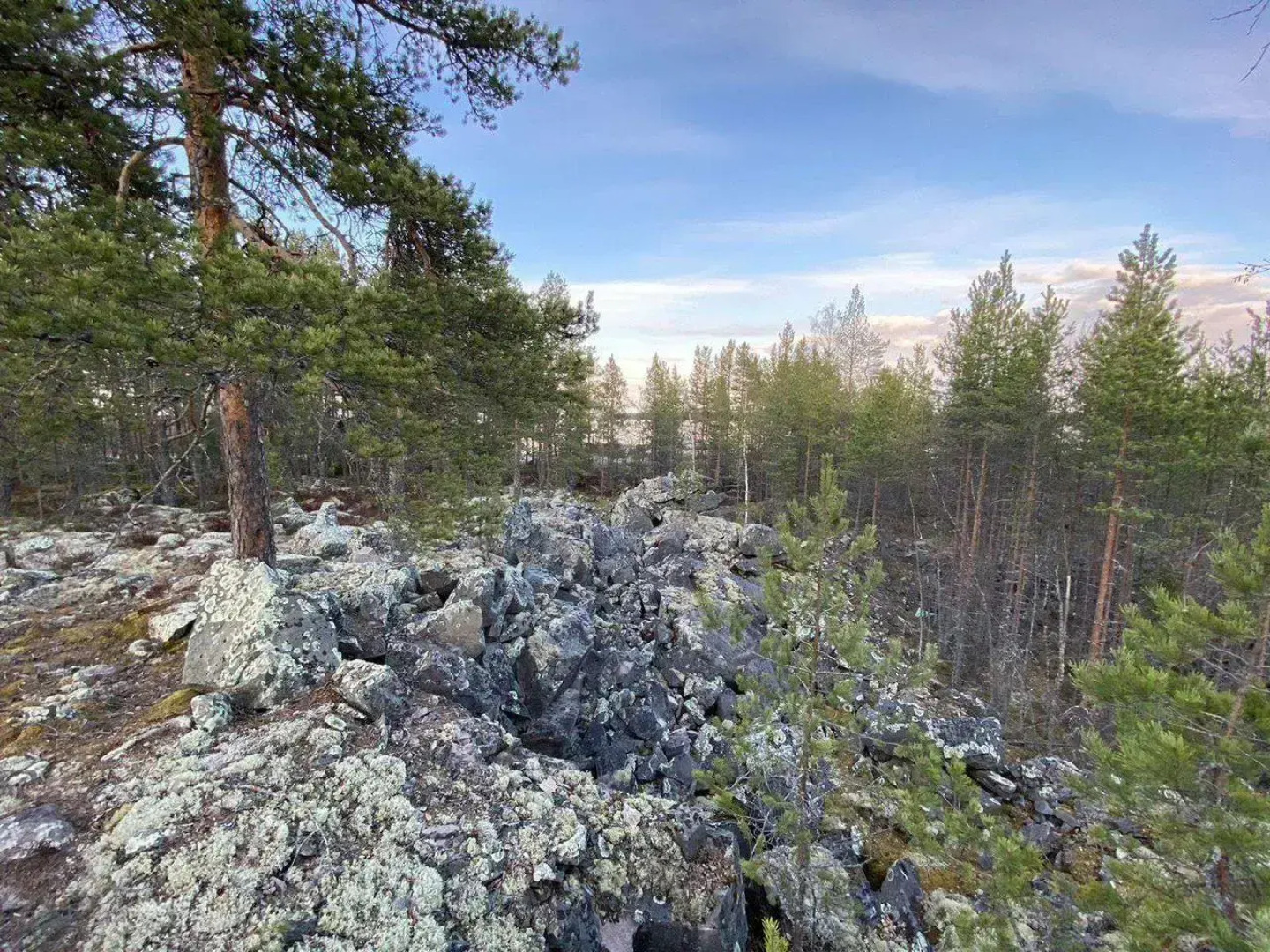 Дом на улице Набережная 31