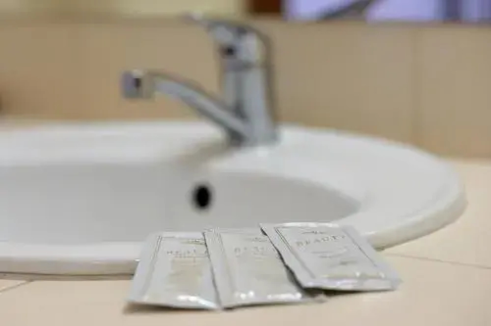 Širvintos viešbutis