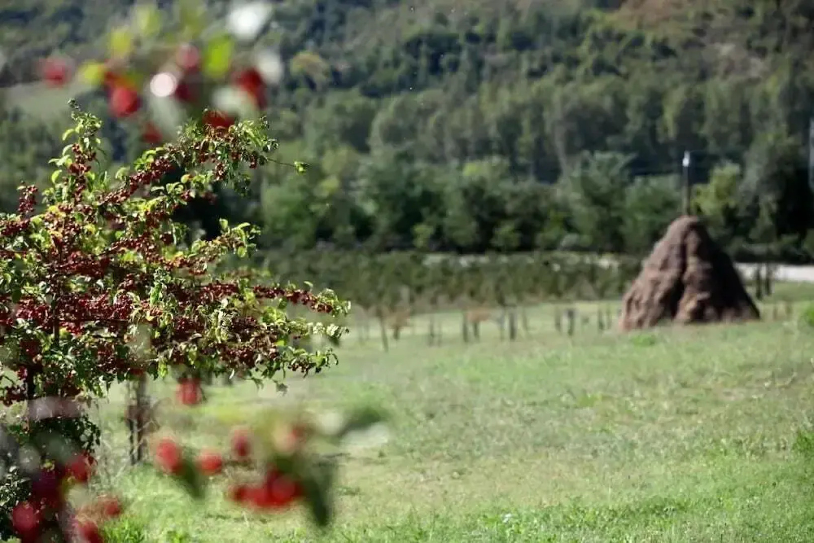 Locanda 5 Cerri Nihotels