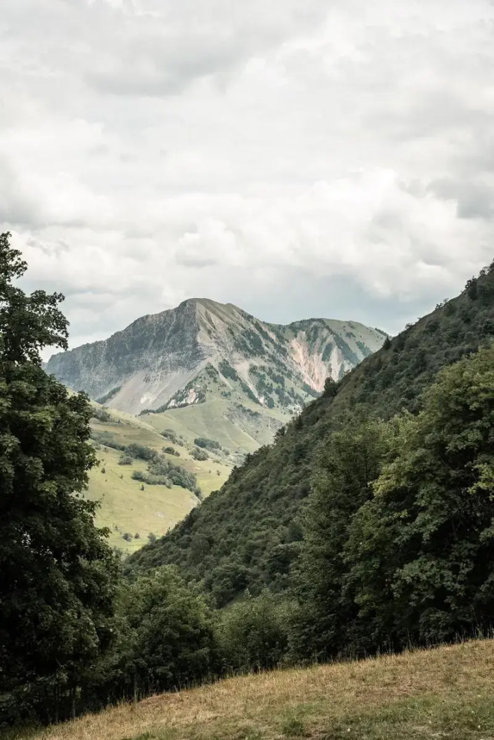 Les Cèdres  Hôtel - Restaurant - Spa