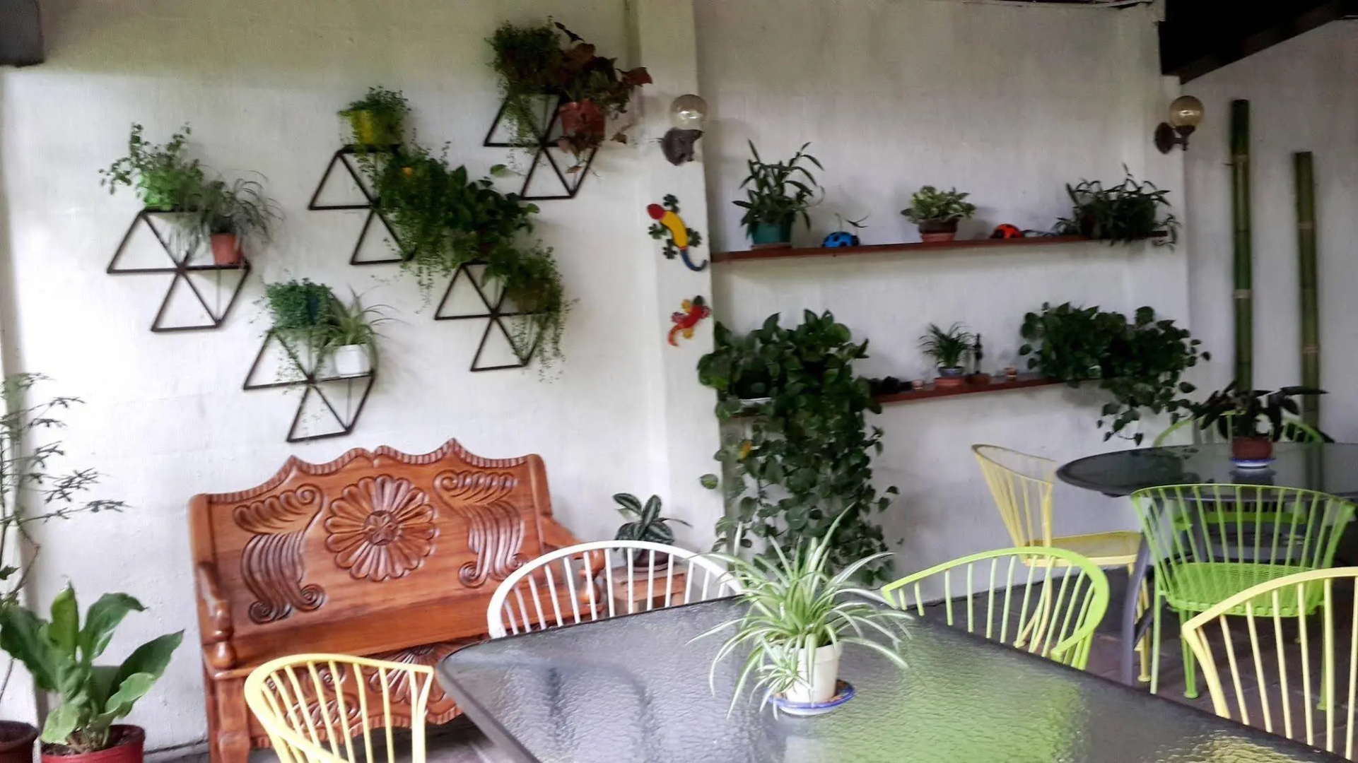 Árbol de Fuego Eco-hotel, a green experience in the city