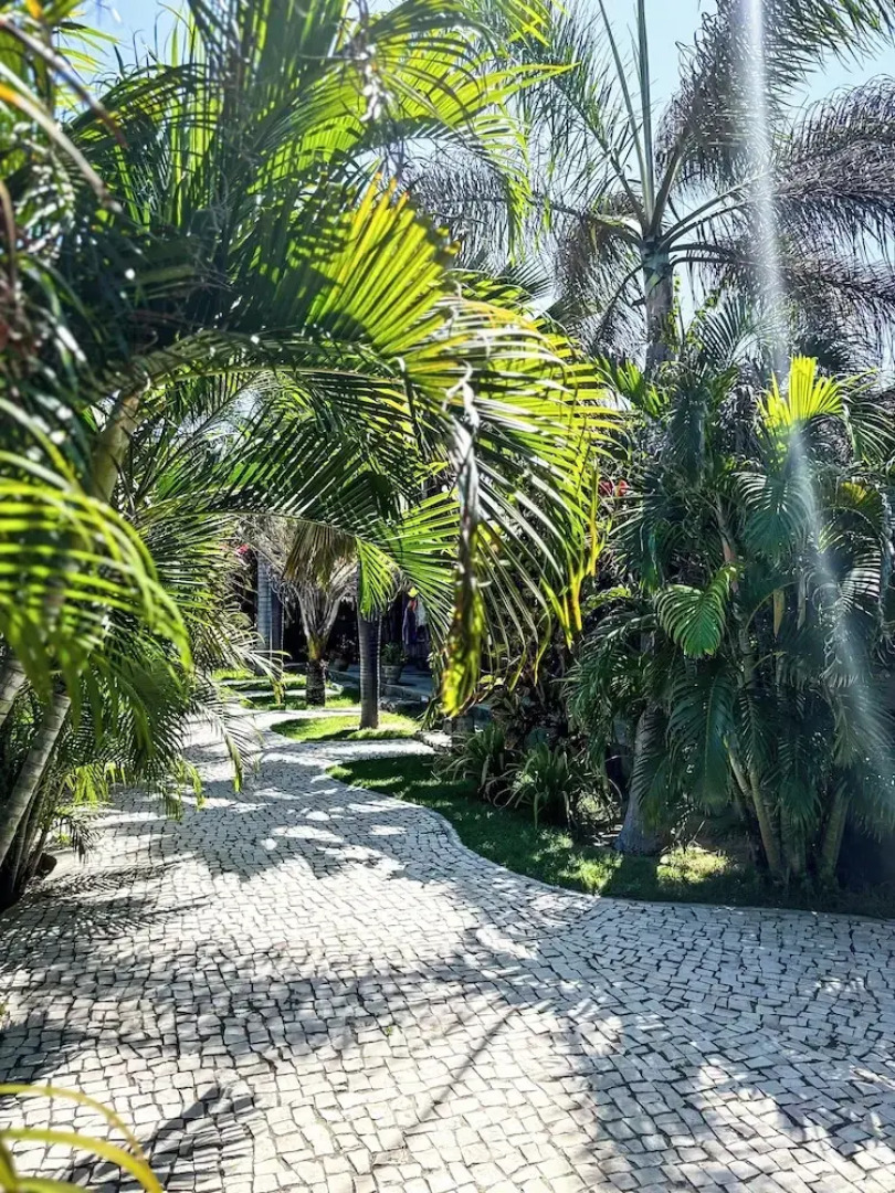 Room in Lodge - Charming Suit Room 5