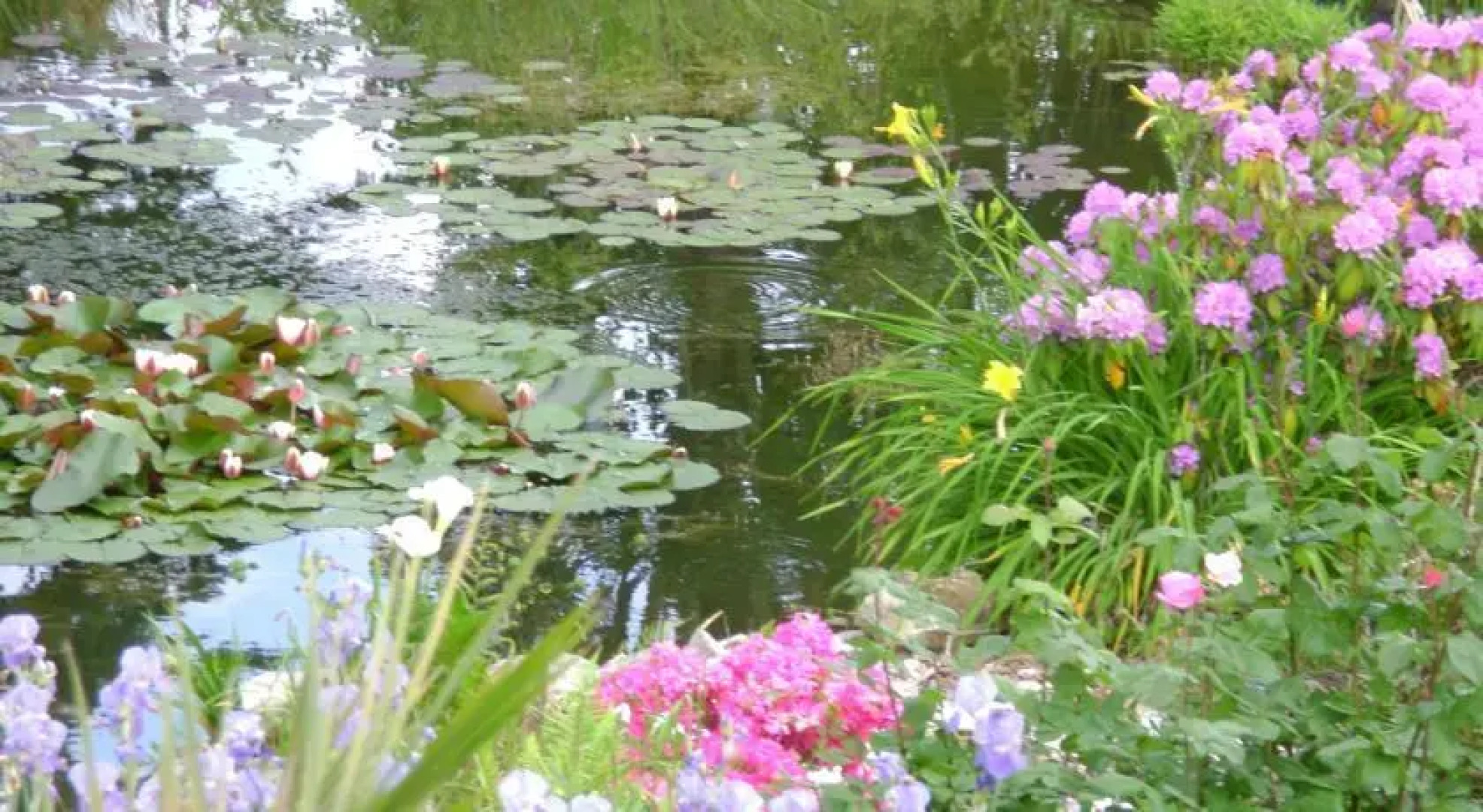 Chambres dHôtes Chez Tania