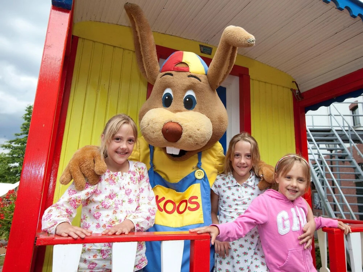 Luxurious Detached With a Garden in De Maasduinen