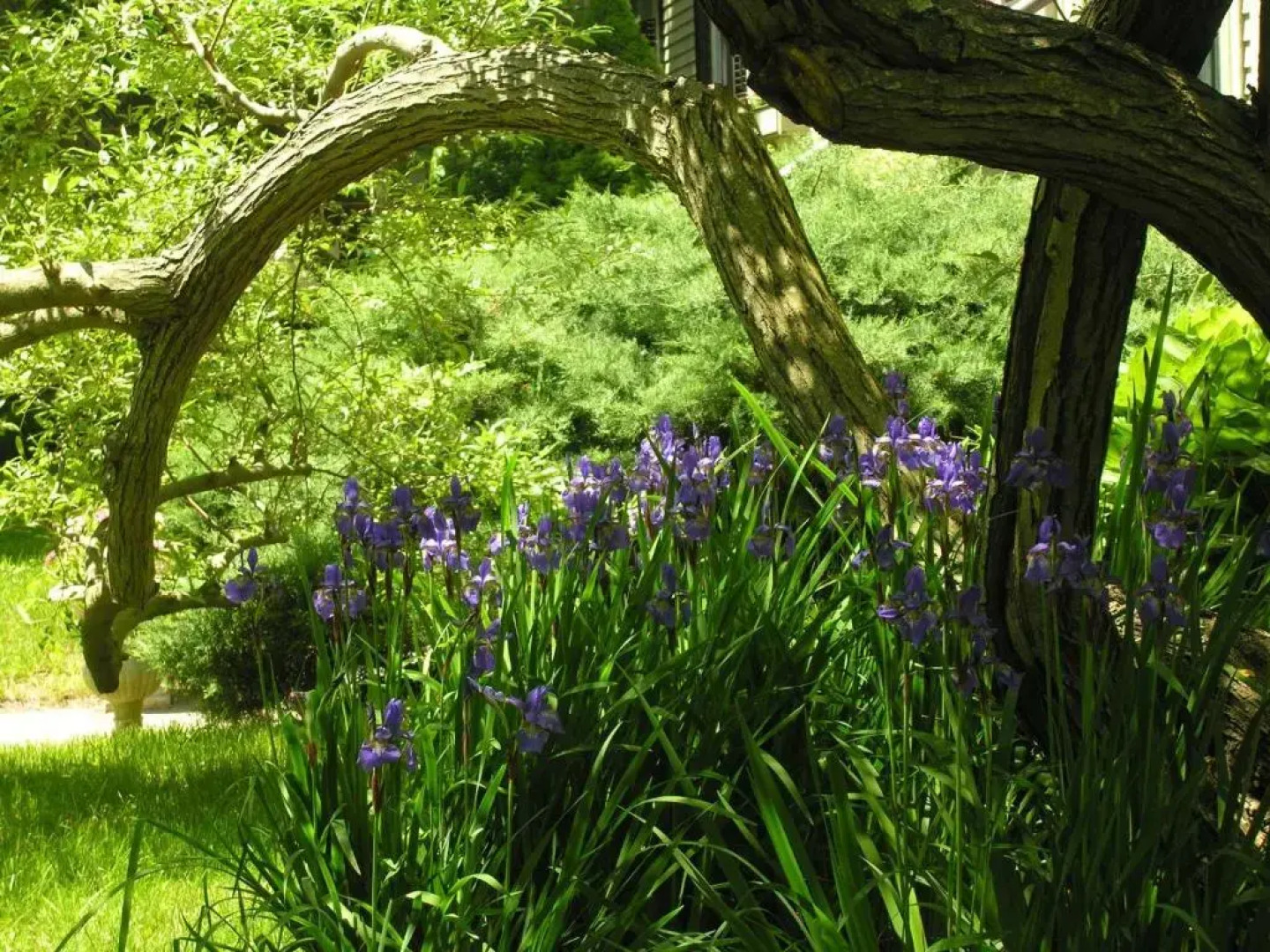 Delano Homestead Bed & Breakfast