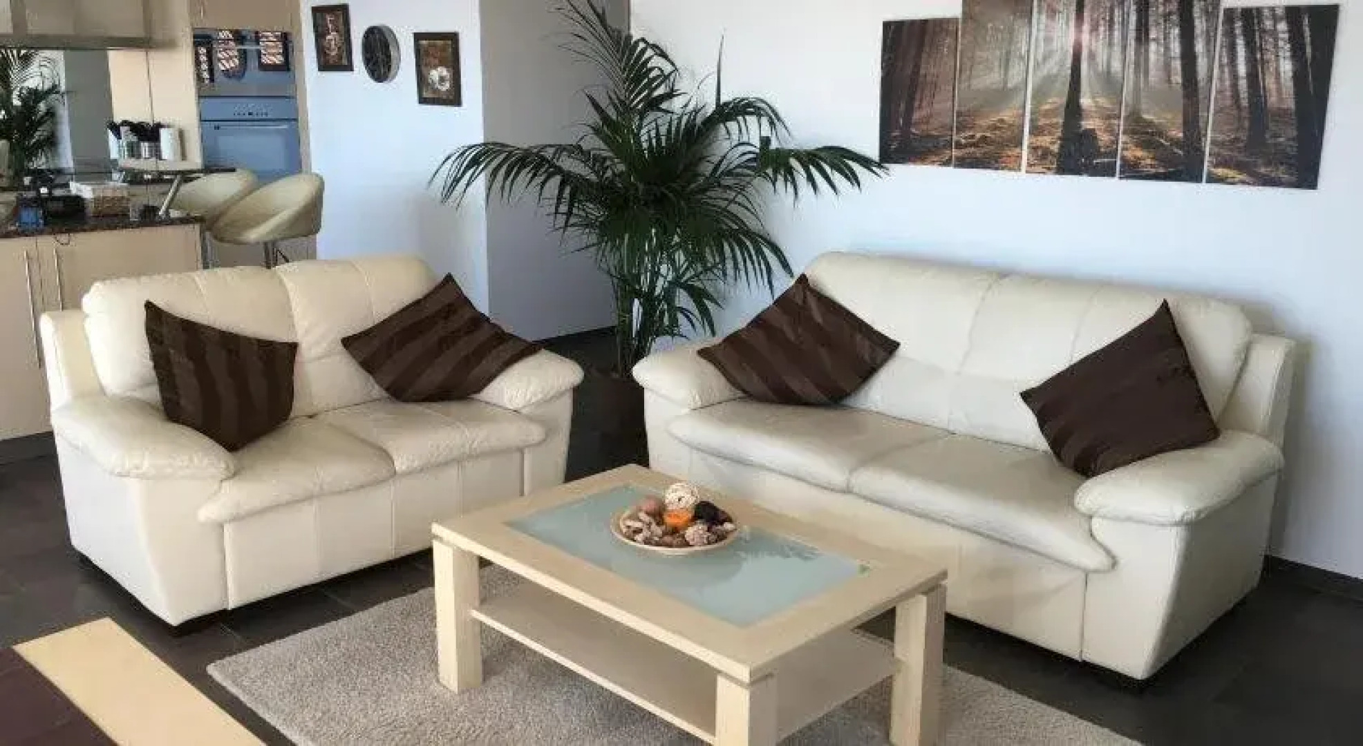 Swiss Lakeview Apartment