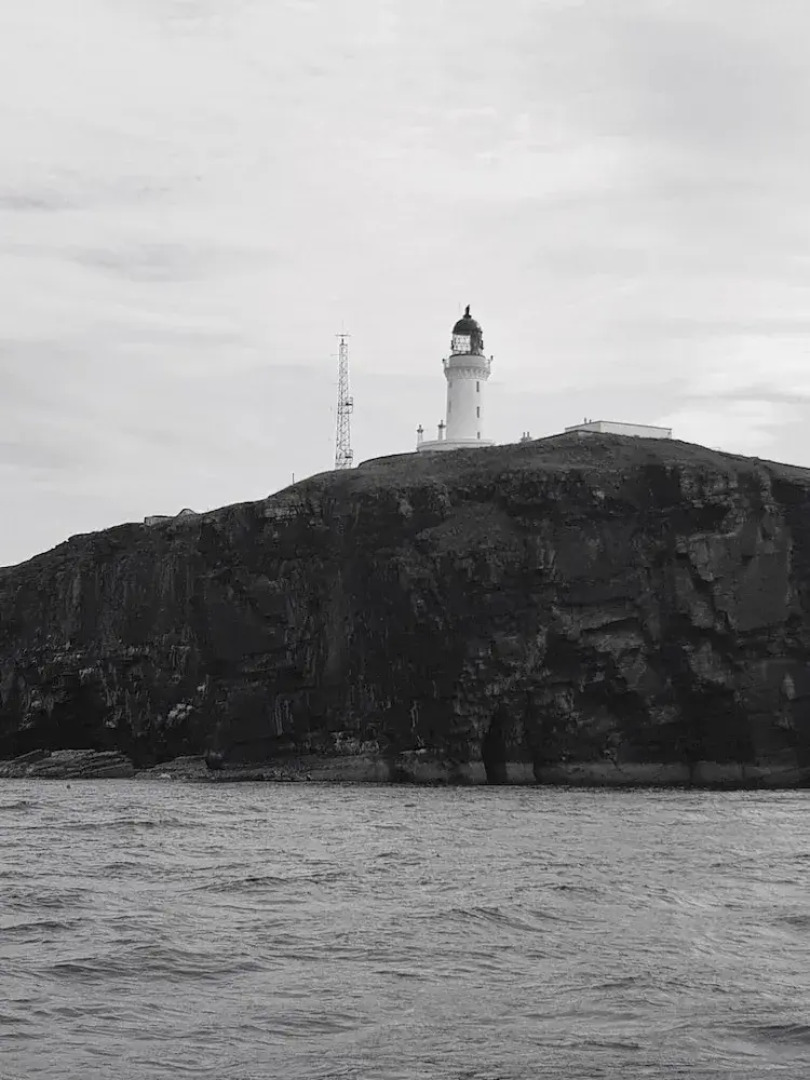 Harbour Bridge Camps Bar