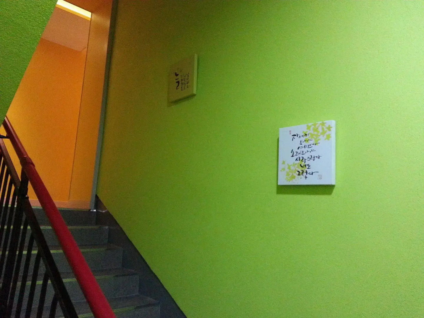 Beluga Guest House - Hostel