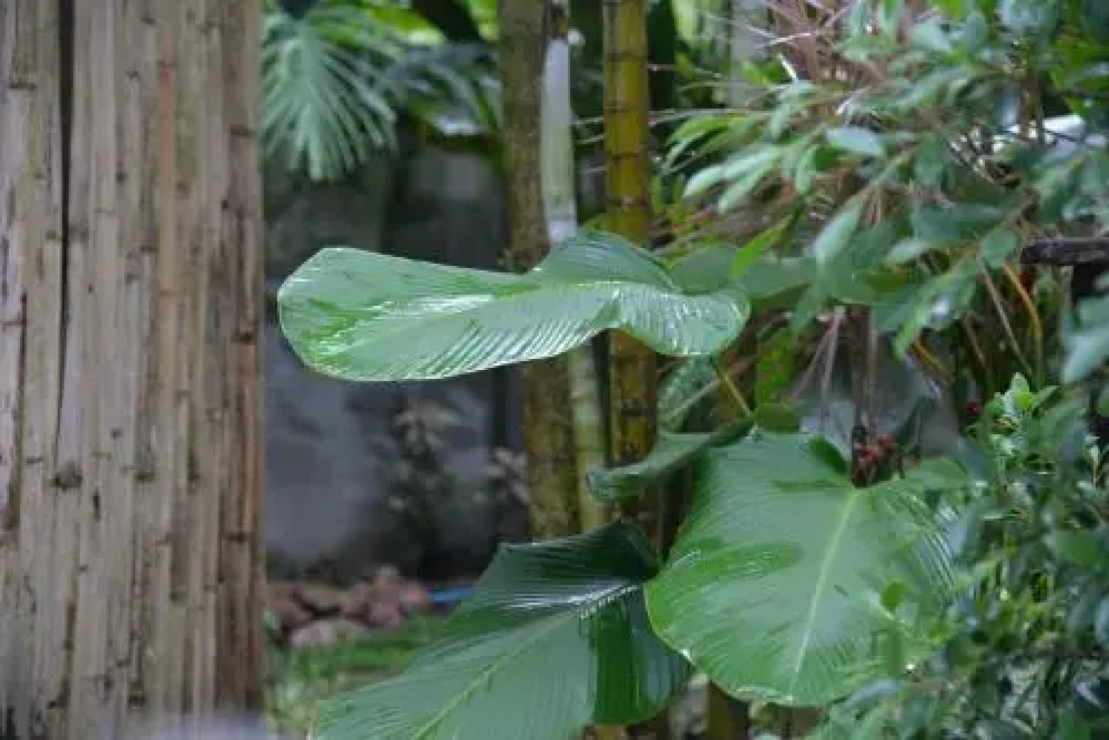 Tukonnee Villas Koh Yao Noi