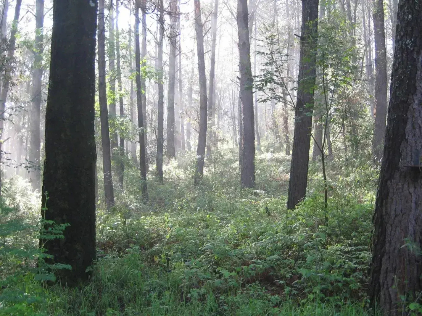 Hotel Spa Hacienda Mariposas