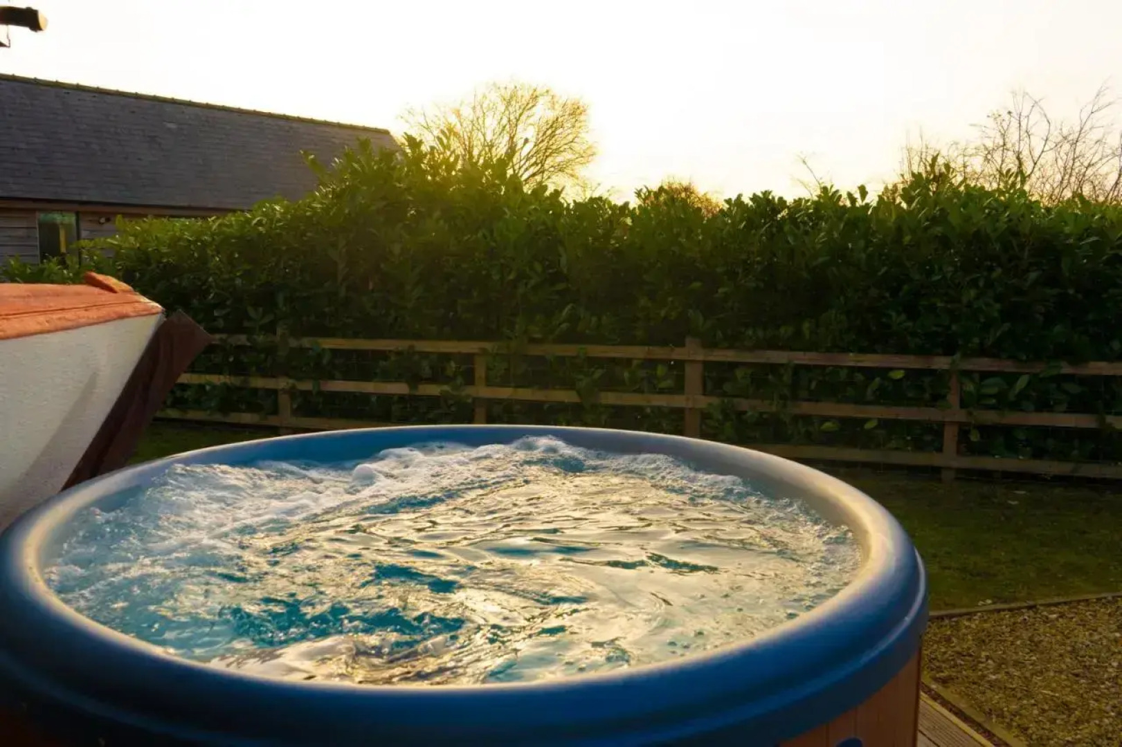 The Green Monkey (Adults Only)