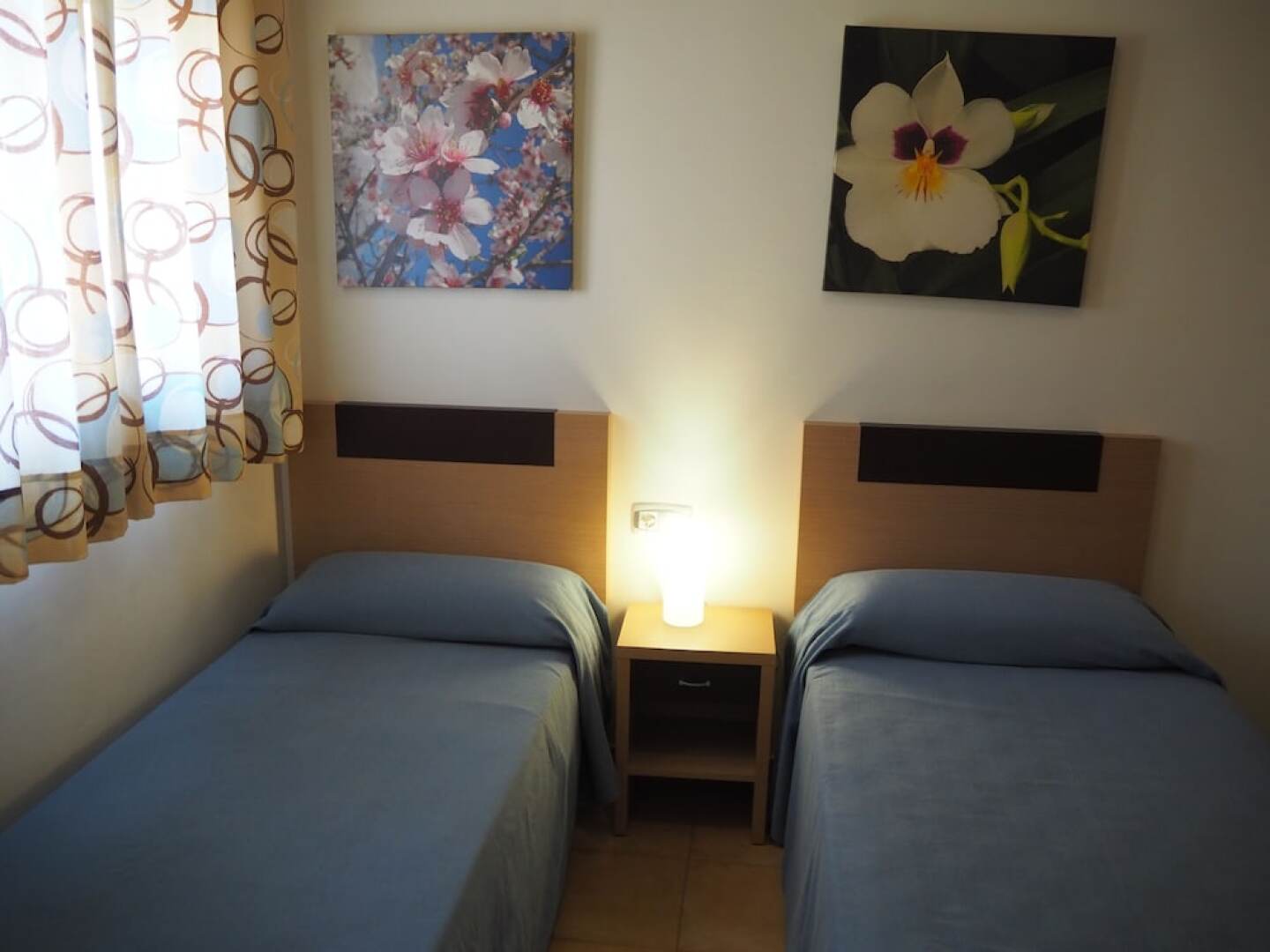 Aguilas de los Collados