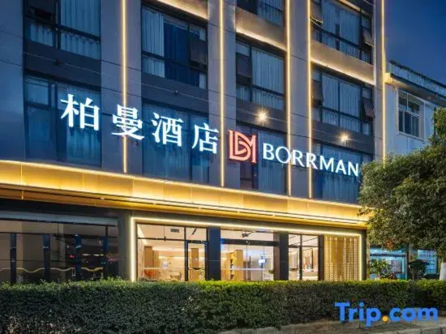 Borrman Hotel (Guangnan)