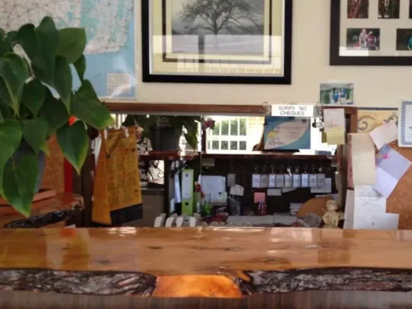 Rippleside Park Motor Inn