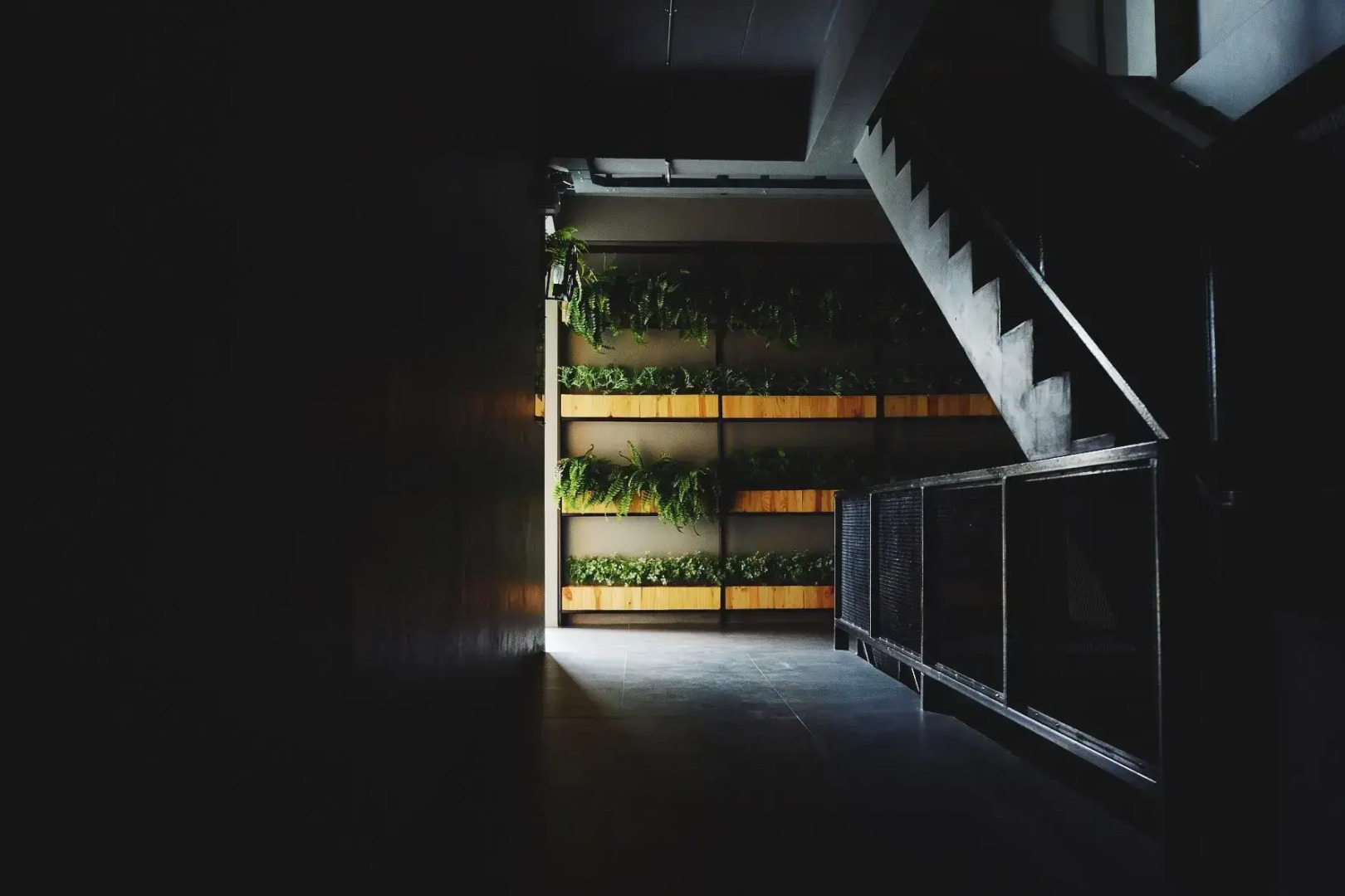 Triple B sleep and relax