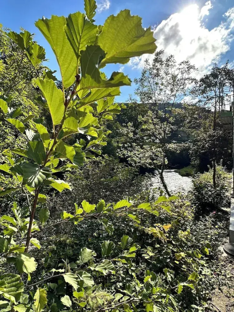 Business Hotel Riverside