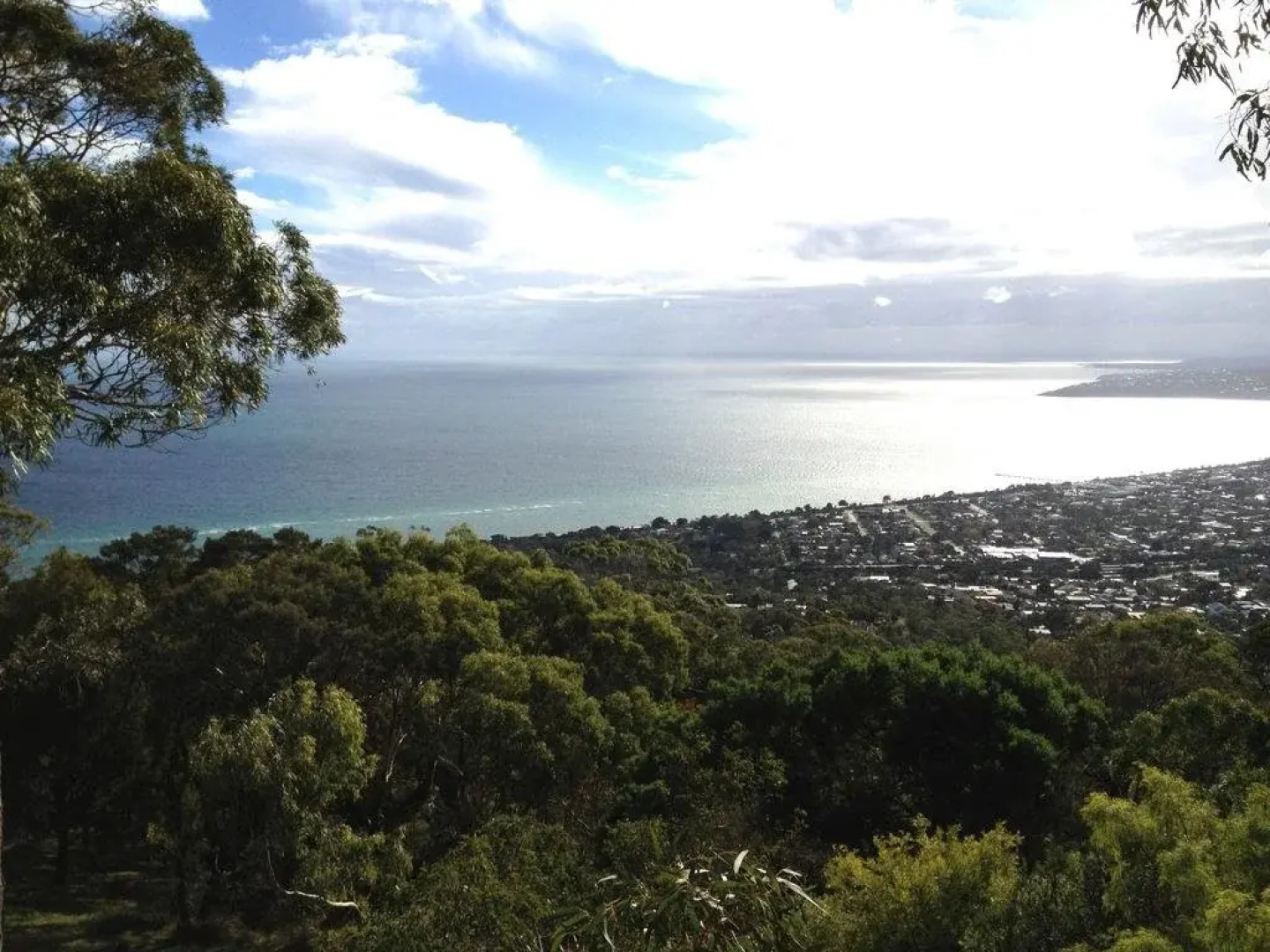 Northern Aspects - Arthurs Seat and Red Hill