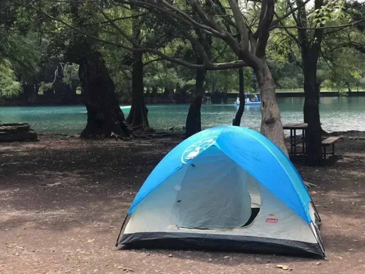 Anaya & Rodriguez Shop - Hostel