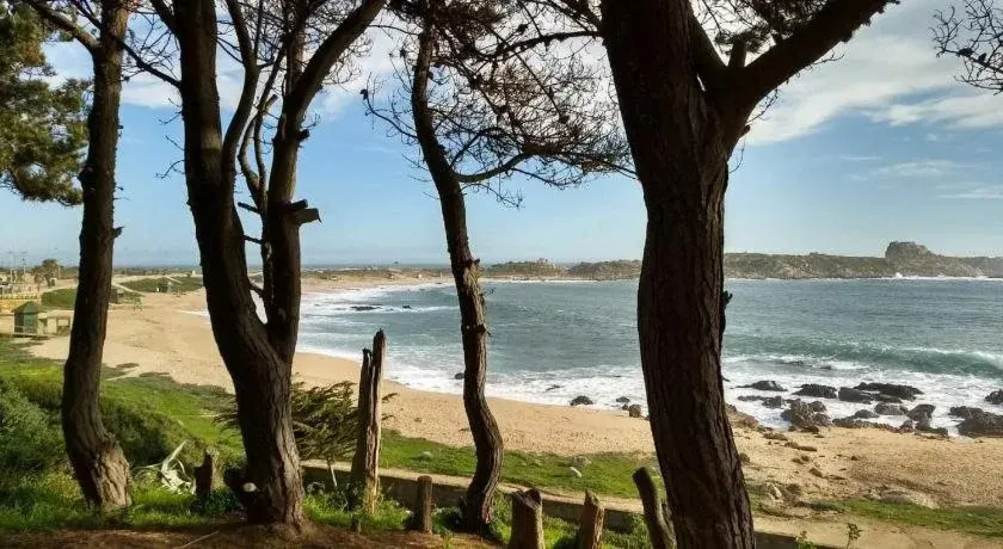 La Conexion del Poeta