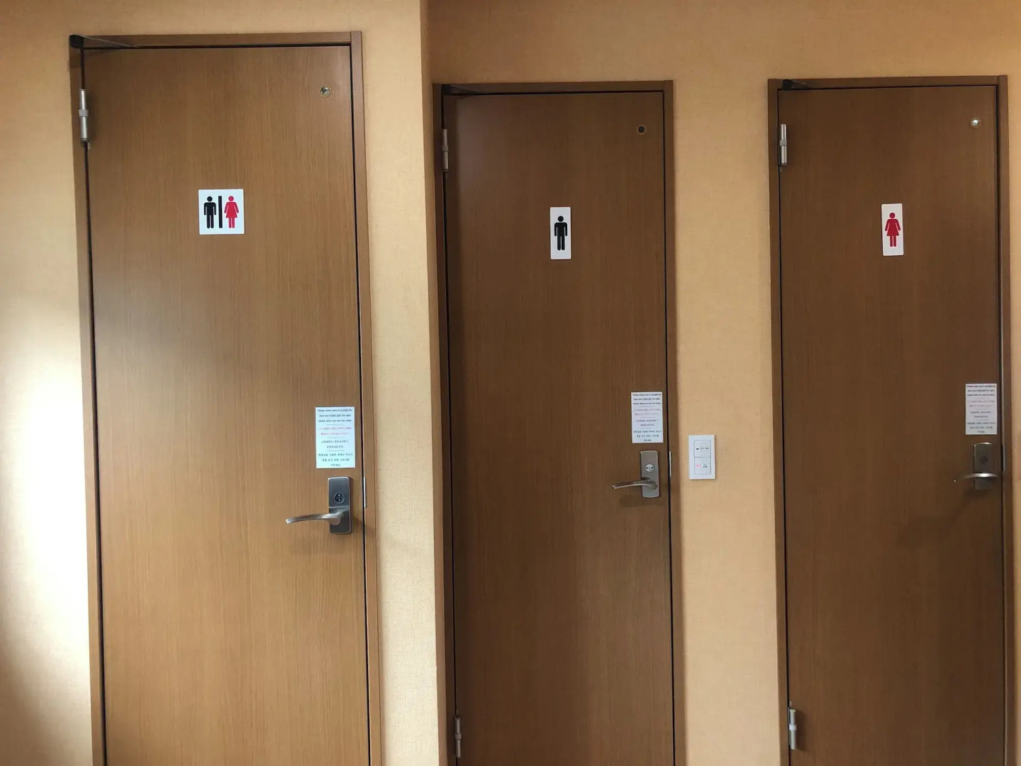 Mt Fuji Hostel Michael's