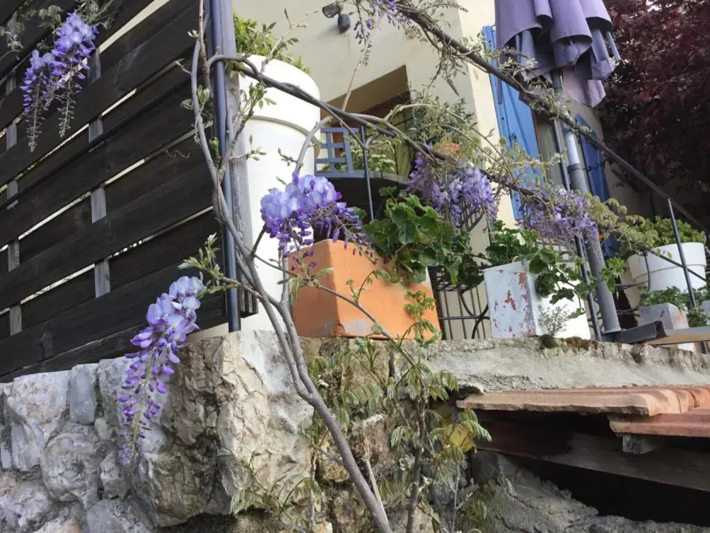 Skylark Bed & Breakfast