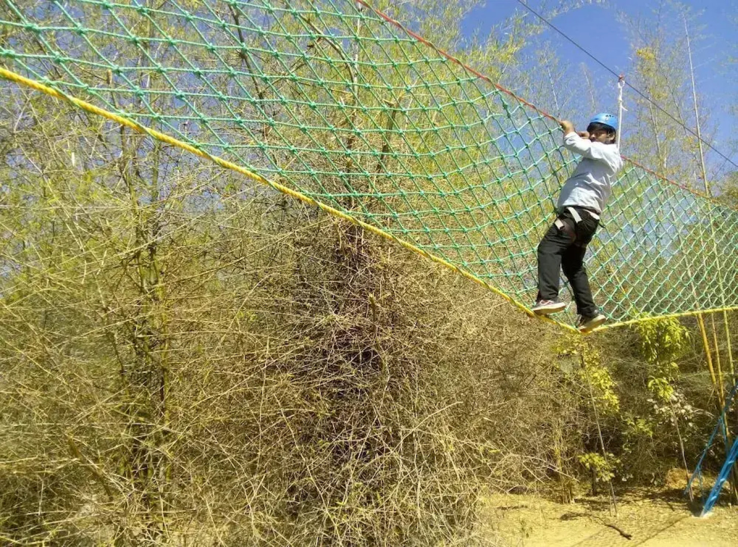 The Celebration Van Vilas Kanha