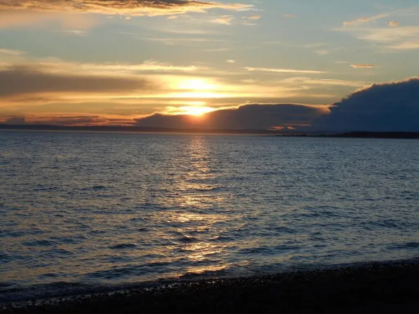 Gï¿½te Le Bouquet de marguerites